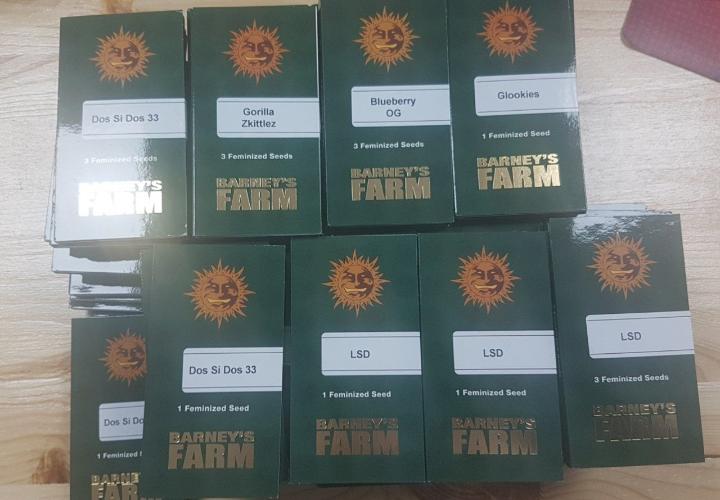 Barneys Farm Seeds подвезли;)