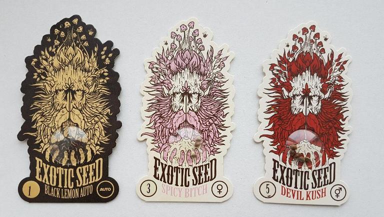 Ваущ! Новый умопомрачительный банк - Exotic seeds