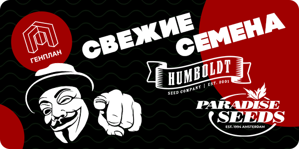 Горячее пополнение на складе!